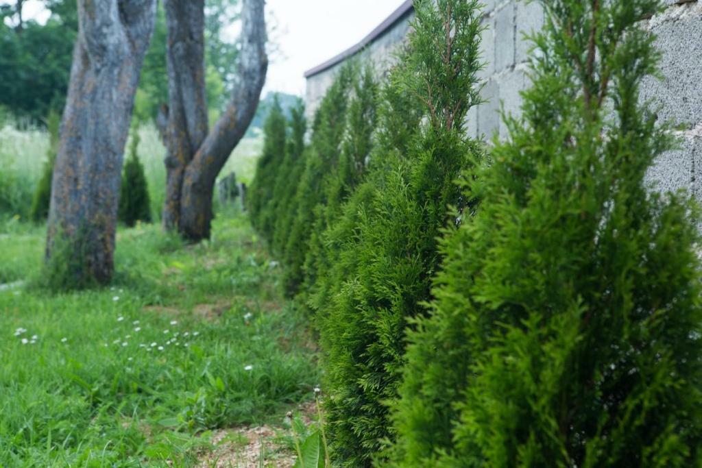 Kuca Za Odmor Marija Villa Vrhovine Dış mekan fotoğraf
